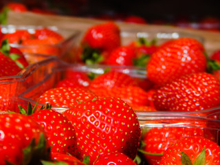 Strawberries for sale