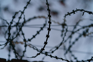 Fototapeta na wymiar Barbed wire with defocused background image