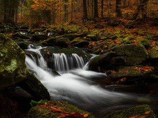 Moody autumn by mountain stream. Very colorful fallen leaves, wet and cold.  Dark yet very beautiful atmosphere. Amazing natural scenery. Best time of the year, at least for photographers. Cool.