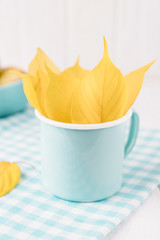 Yellow autumn leaves in enameled cup. Mint color. Toned photo