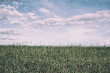 Obraz premium Horizon - grass on the meadow and sky with cloud. Minimalist landscape. Film simulation