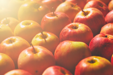 Many red and yellow apples, colorful background