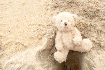 Lonely bear at seaside
