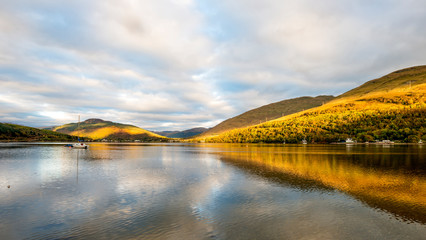 Autumn colour on the hillside at Arrochar - 232277134