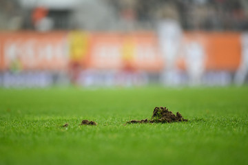 Clump of grass on the football pitch.