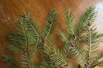 A branch of spruce on wooden table from above