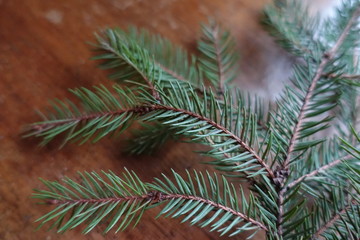 Green branches of spruce on wooden table