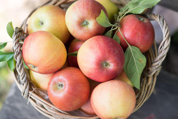 fresh apples in a basket