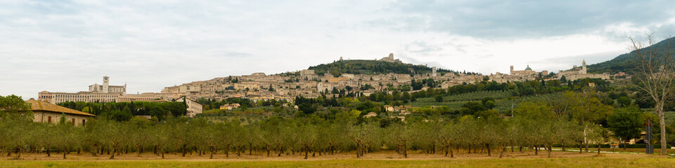 Fototapeta na wymiar Ancient city of Siena, Tuscany, Italy. Panorama