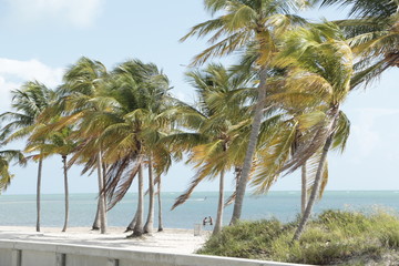 Fototapeta na wymiar Florida beach