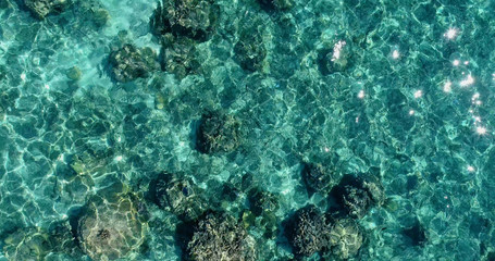 shark in the lagoon  in aerial view