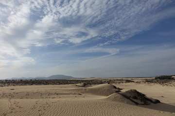 Fototapeta na wymiar Beautiful sky over the dunes in the Natural park of Corralejo,Fuerteventura,Las Palmas,Canary islands,Spain.