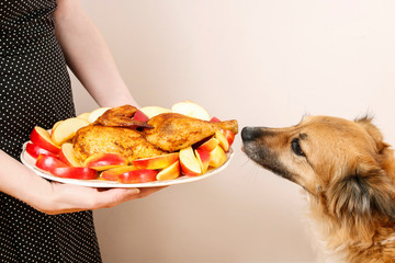 Dog stealing a roasted chicken.