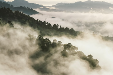 Morning mist, morning sun at Khao Khai Nui Phangnga, Thailand