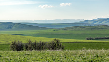 Obraz premium Cultivated fields in hilly terrain in spring