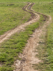 Fototapeta na wymiar a winding dirt road in the spring field