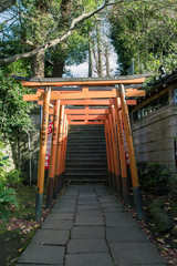 Fototapeta premium Tori dans un parc à Tokyo