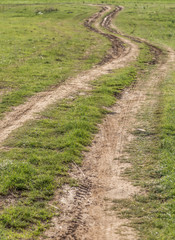 a winding dirt road in the spring field