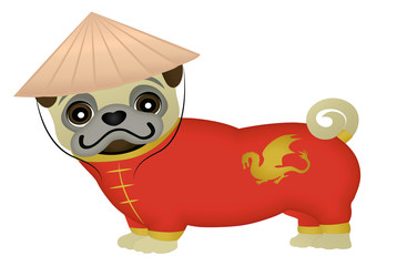 Chinese pug dog in traditional clothing