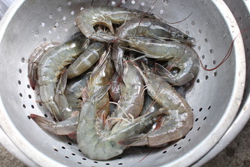 Fresh shrimps for cooking