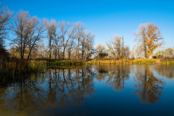 Fototapeta na wymiar Beautiful autumn landscape. Trees reflected in the water of the lake