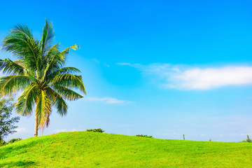 Fototapeta premium green golf course