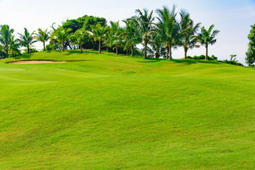 green golf course