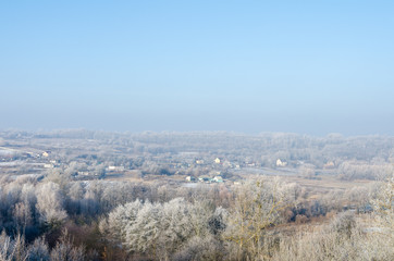 Morning fog and frosted grass and trees