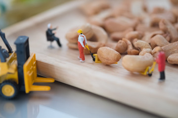 Miniature people selecting cashew