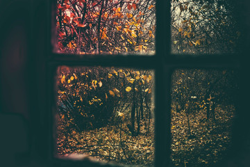 Softly blurred old window with autumn landscape