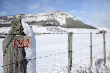 snowed fence