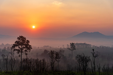 Mountain forest landscape in the morning with the fog in the summer season.National Park with fog and humidity.
