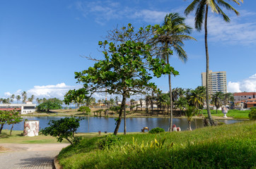 Fototapeta na wymiar parque pituaçu com um olhar de paz