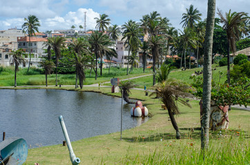 parque pituaçu com um olhar de paz - 232297986