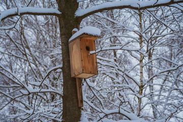 Naklejka premium Winter morning in the city park of Khmelnitsky