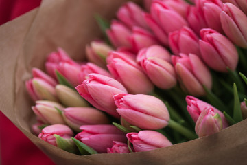 Fototapeta premium bouquet of pink tulips