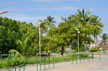 parque pituaçu com um olhar de paz - 232298360