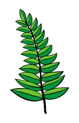 Fototapete Monstera Vektor-Kontur-Darstellung eines grünen Zweigs auf weißem Hintergrund. Tätowierung. Logo. Kinderillustration