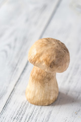 Porcini mushroom on the wooden background