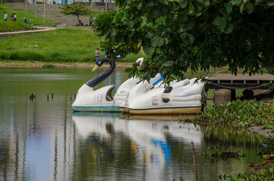parque pitua&ccedil;u com um olhar de paz