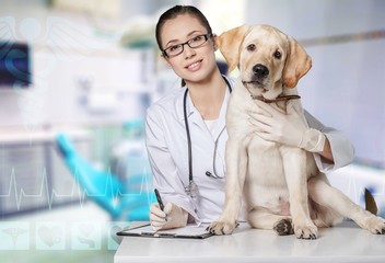 Fototapeta na wymiar Attractive young female doctor with funny dog patient