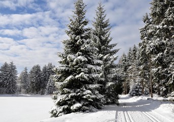 Verschneite Landschaft in Ernstthal