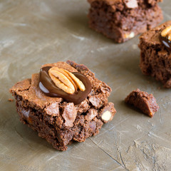 brownie on a dark background. selective focus