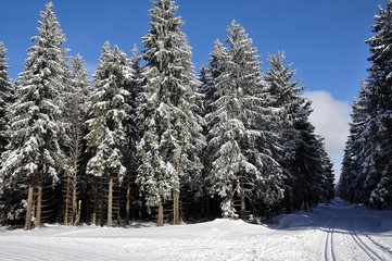 Winter in Ernstthal