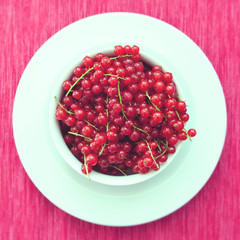 Fresh red currents in a white bowl on a white plate.