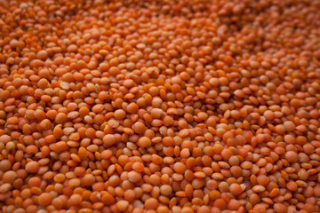 Raw red lentils texture abstract background