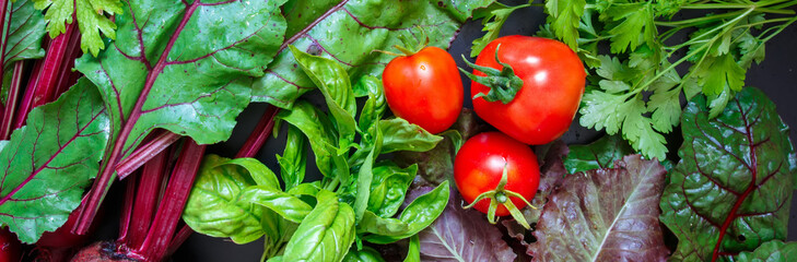 Fresh varieties of tomato and aromatic herbs spice parsley, dill on a dark background, food background, the idea of organic food
