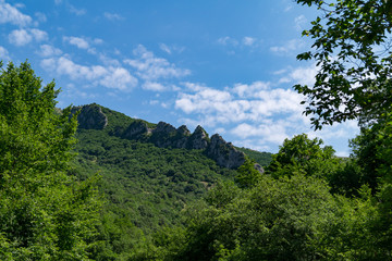 Vista nel parco del Monte Cucco