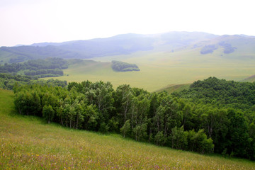 WuLanBuTong grassland scenery, China