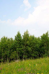 WuLanBuTong grassland scenery, China